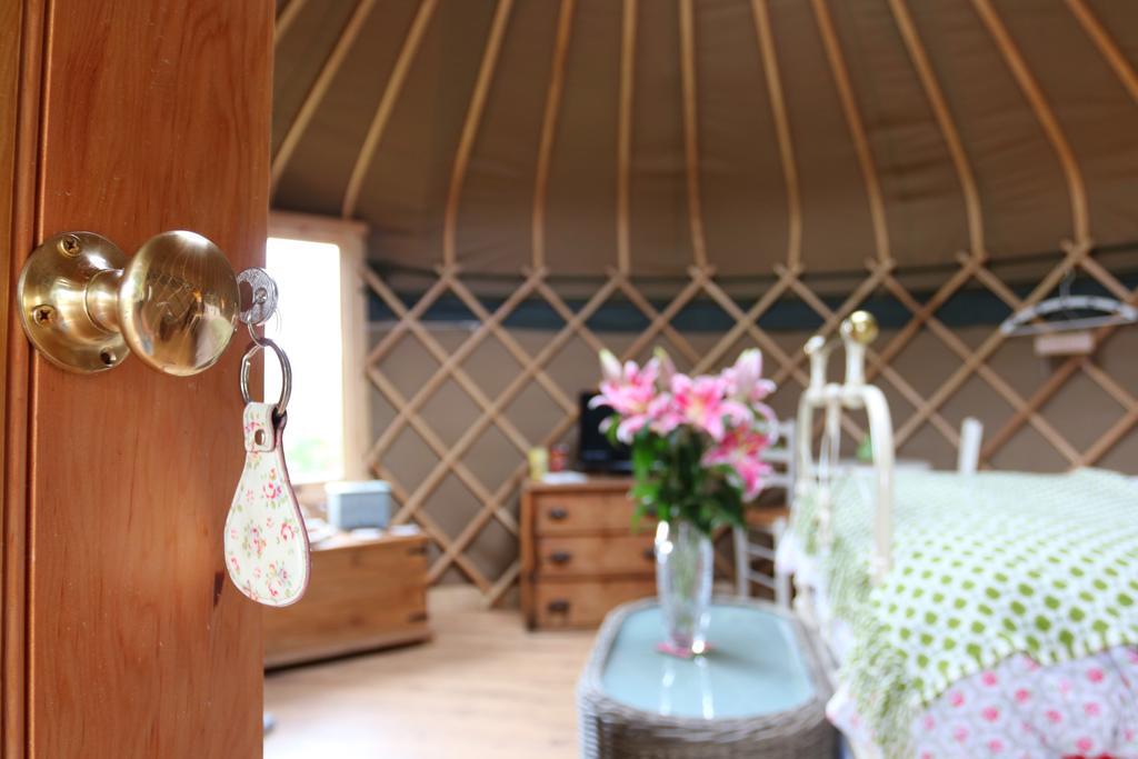 Sunbank Accommodation Llangollen Extérieur photo
